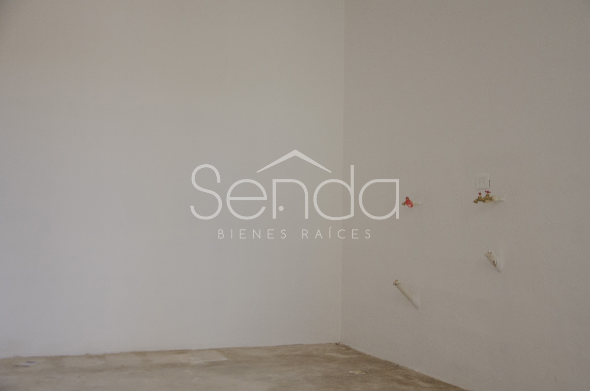 2019-09-10_23_51_20_10_19WE-06_PALMAR IV_13.jpg